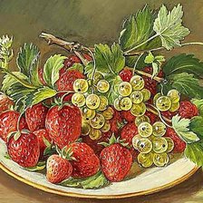 Схема вышивки «Ягоды»