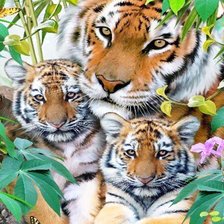 Схема вышивки «тигры»