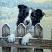 Схема вышивки «пес»