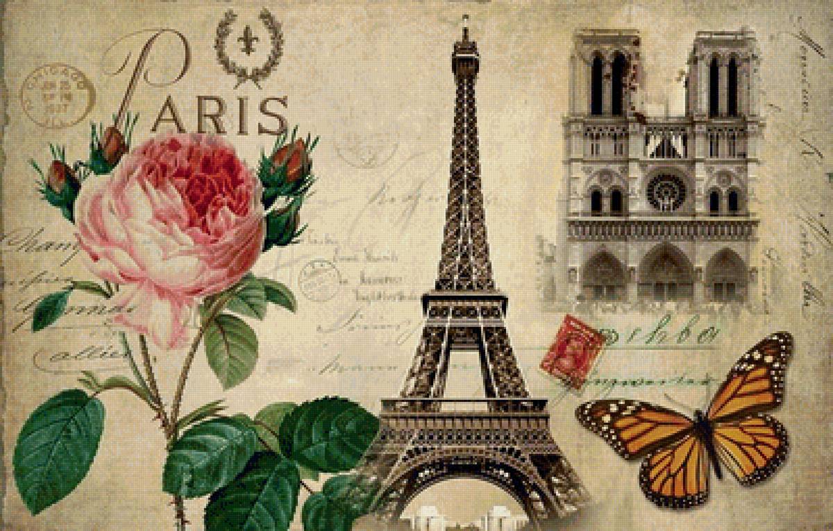 париж - париж, город, роза - предпросмотр