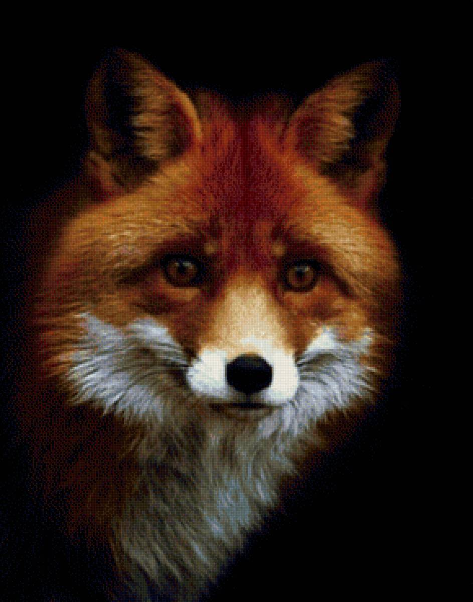 Лис 2 - предпросмотр