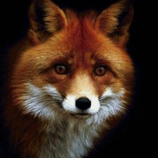 Схема вышивки «Лис 2»