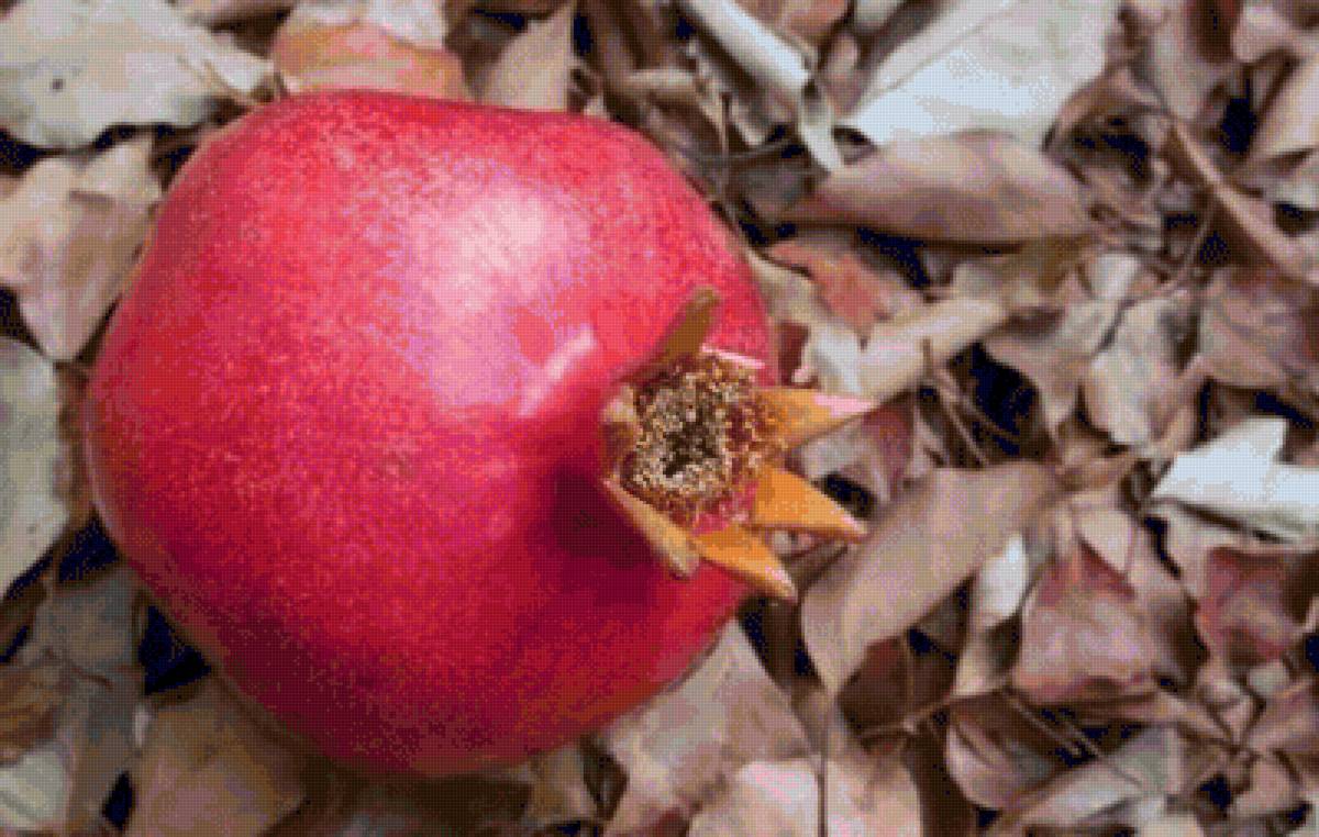 Նուռ - фрукты, гранат, еда, осень - предпросмотр