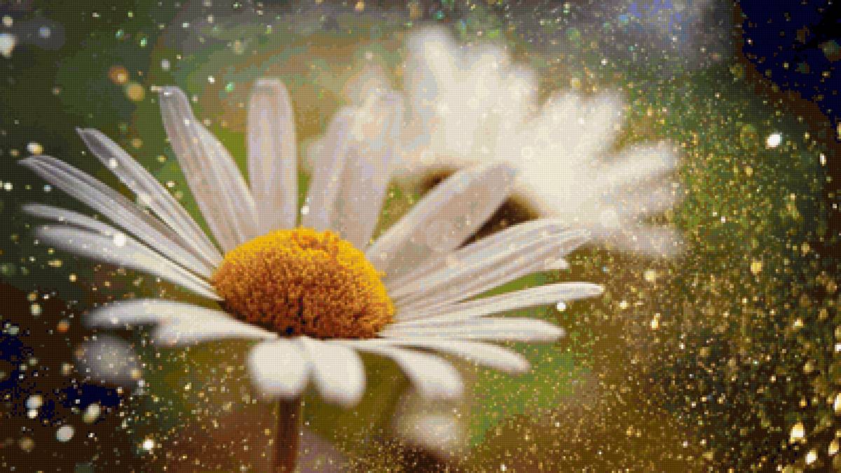 С добрым утром! - роса, утро, ромашки - предпросмотр