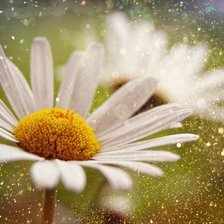 Схема вышивки «С добрым утром!»