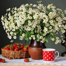 Схема вышивки «Boque de camomila e morangos.»