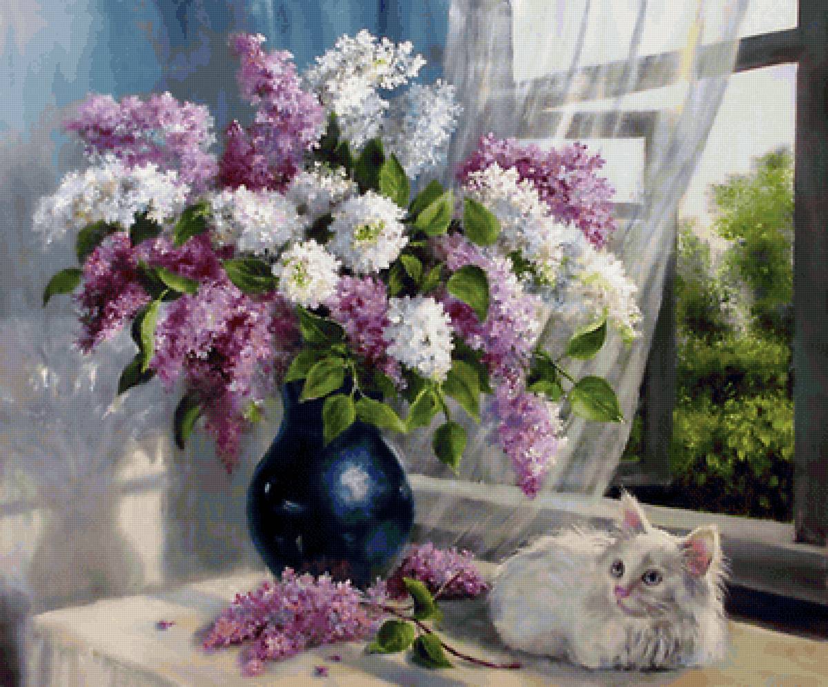 сирень - сирень, цветы, кот, букет - предпросмотр