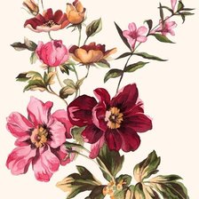 Схема вышивки «цветы»