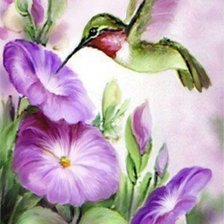 Схема вышивки «Колибри»