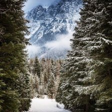 Схема вышивки «Зима»