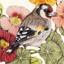 Схема вышивки «птичка»