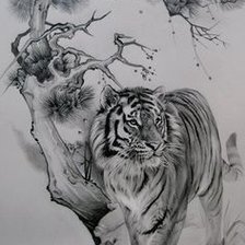 Схема вышивки «тигр»