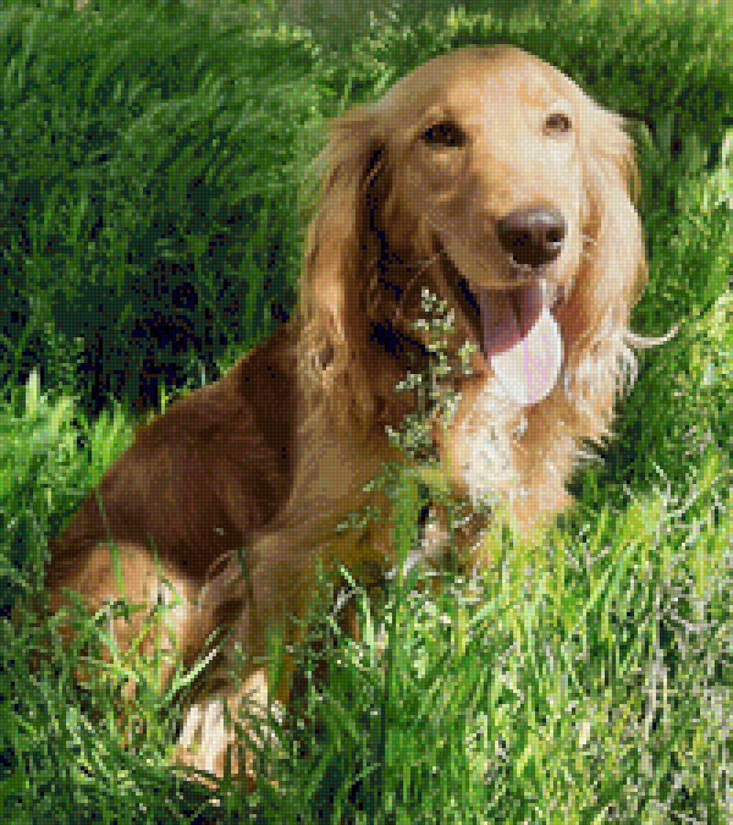 Лайм - предпросмотр