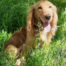 Схема вышивки «Лайм»