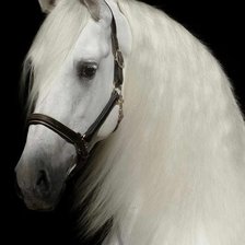 Схема вышивки «№2375749»