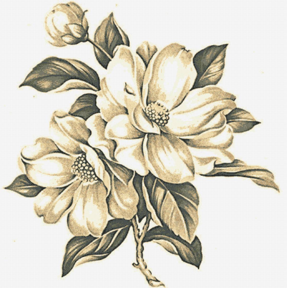 Магнолия - монохром., подушка, цветок, магнолия - предпросмотр