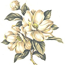 Схема вышивки «Магнолия»