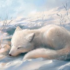 Схема вышивки «песец»