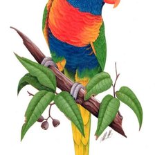 Схема вышивки «Pássaro.»