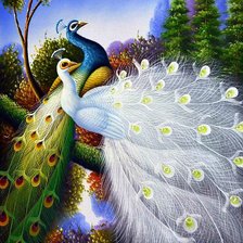 Схема вышивки «павлины»