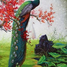 Схема вышивки «павлин»