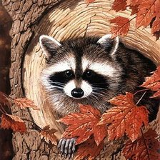 Схема вышивки «Енотик»