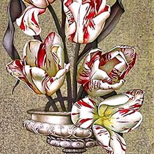 Схема вышивки «Тюльпаны»