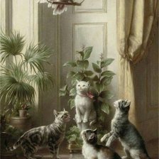 Кошачья забава