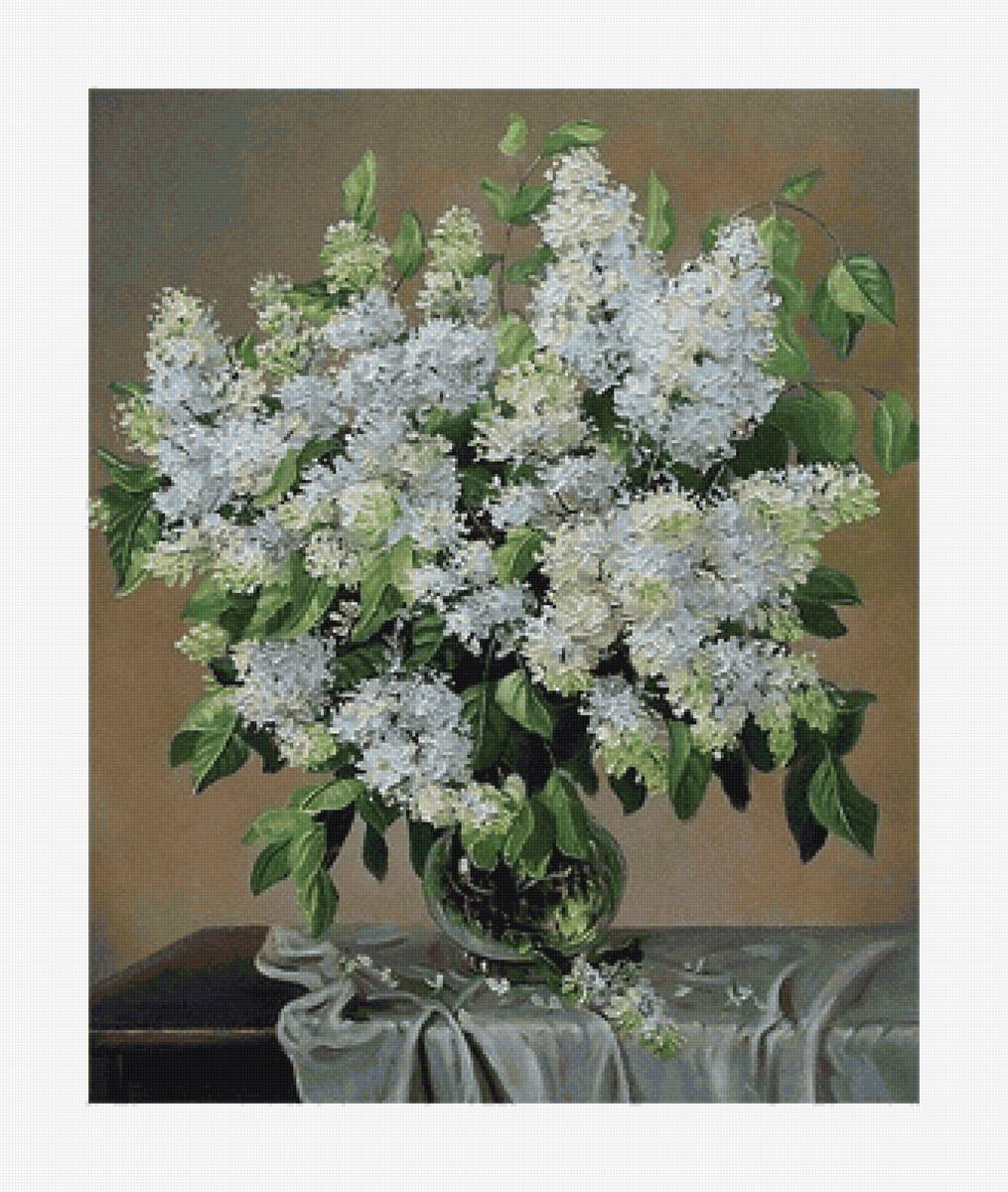 Белая сирень - сирень, букет, цветы, белая сирень - предпросмотр