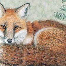 Схема вышивки «дикие»