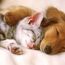 Схема вышивки «56956у5»