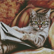 Схема вышивки «Кот в очках»