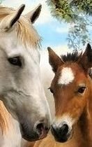 Схема вышивки «Кобыла и жеребенок»