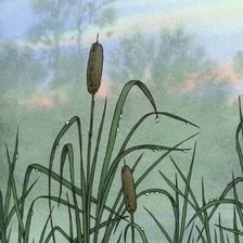 Схема вышивки «После дождя»