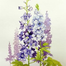 Схема вышивки «дельфиниум»