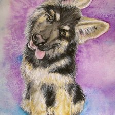 Схема вышивки «Маленький проказник»