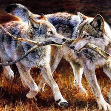 Схема вышивки «Волки и палка»