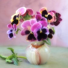 Схема вышивки «Фиалки утрение»