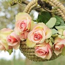 Схема вышивки «Розы»