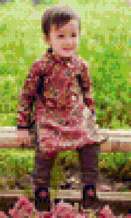 Chân dung - предпросмотр