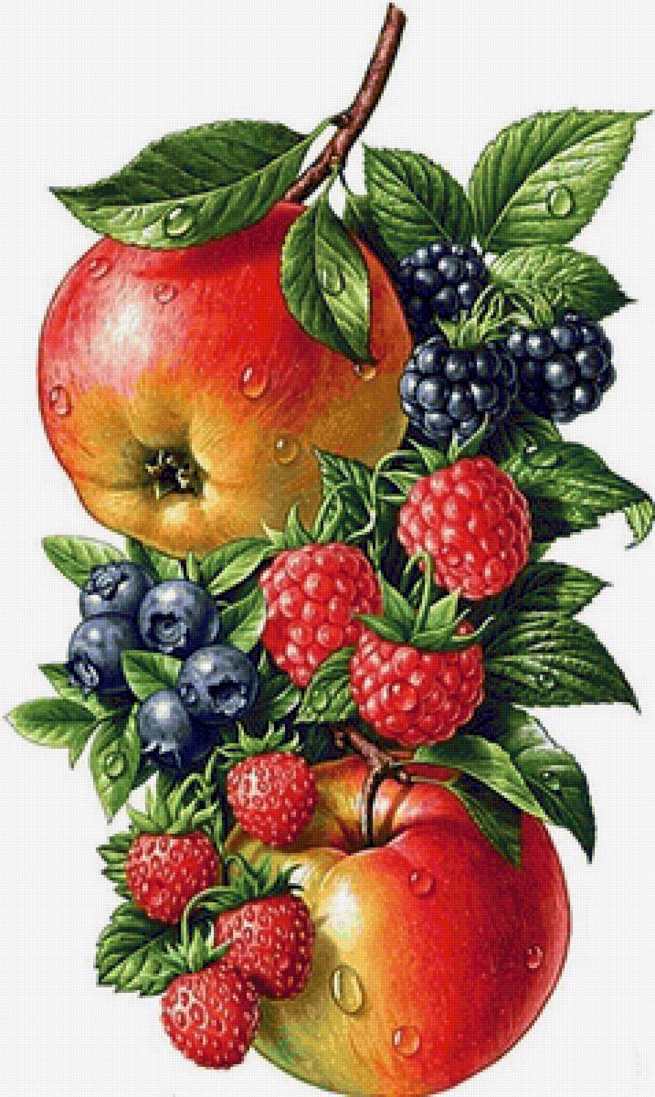 Фрукты и ягоды - ягоды, фрукты - предпросмотр