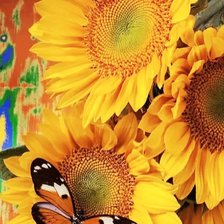 Схема вышивки «Подсолнух»