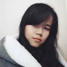 Схема вышивки «Chân dung»