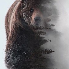 Схема вышивки «Хозяин тайги»