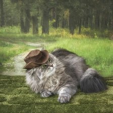 Схема вышивки «Кот и птица»