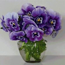 Схема вышивки «Анютины глазки»