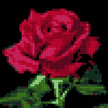 Hoa hồng - предпросмотр