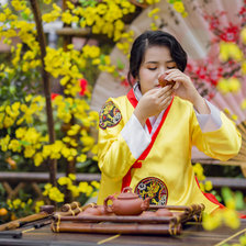 Схема вышивки «Chân dung»