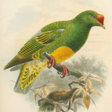 Схема вышивки «кёлеманс йоханнес герард»