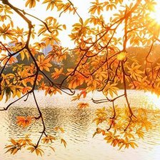 Схема вышивки «Thu Hồ Gươm Hà Nội»